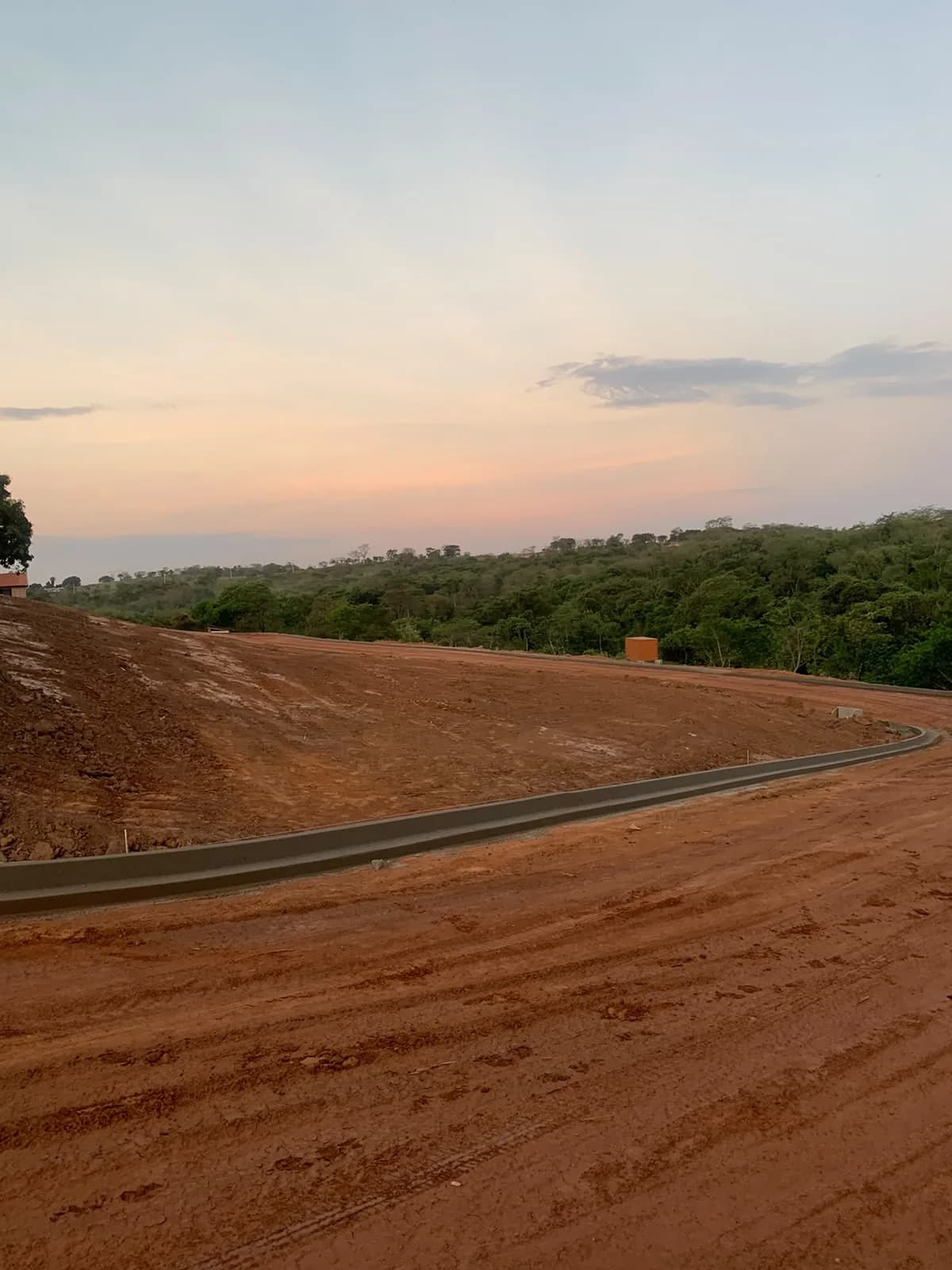 Meio fio ao entardecer na borda da mata