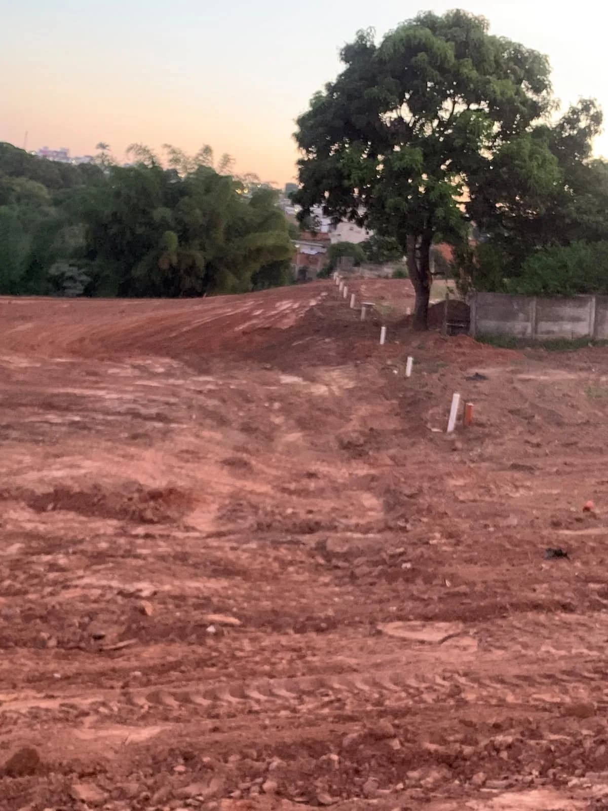 Solo preparado com marcadores no terreno